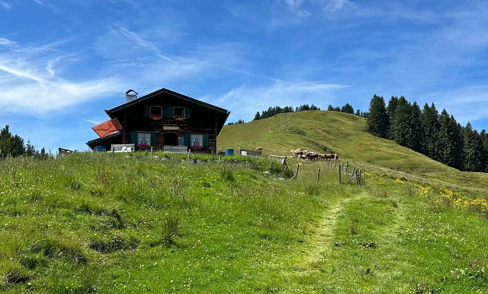 Schnaiter Alm