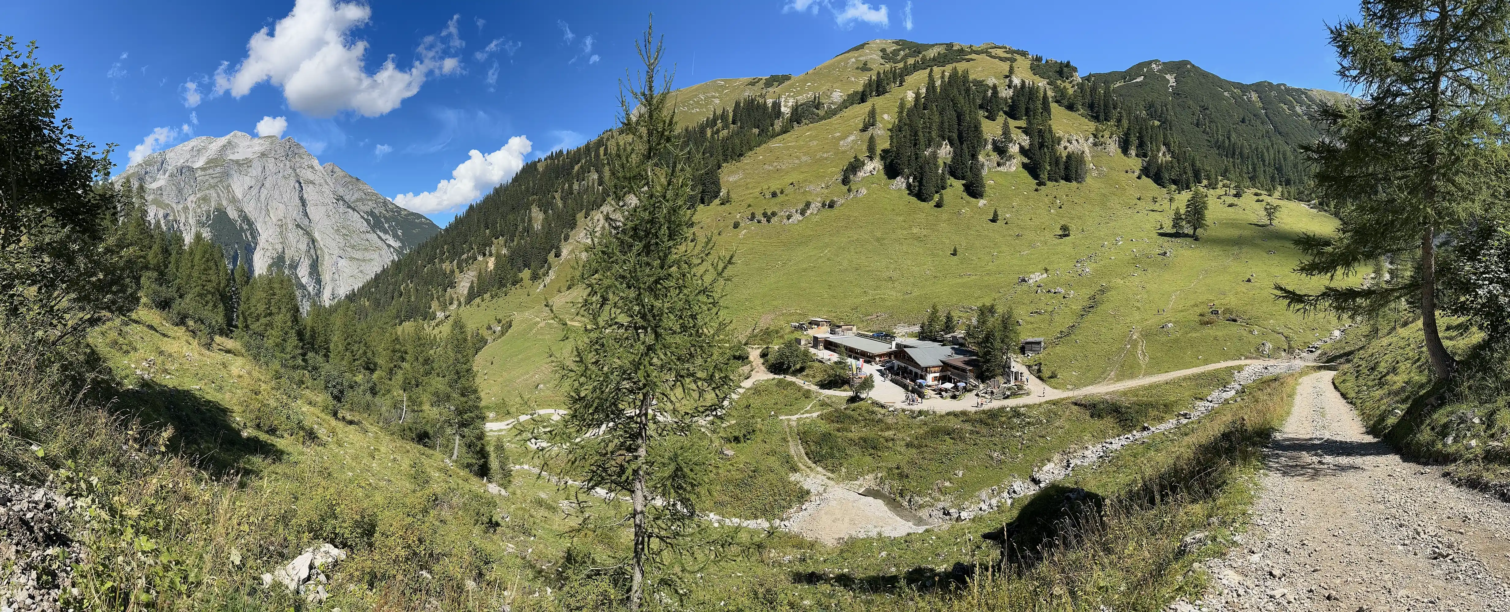 Binsalm