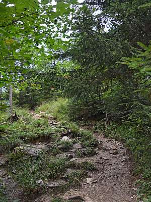 Vorschaubild 22