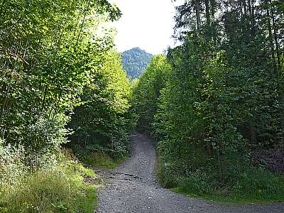 Vorschaubild 4