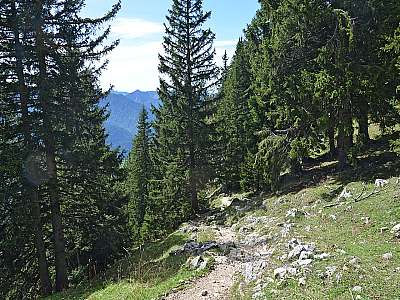 Vorschaubild 79