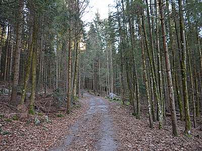 Vorschaubild 1:30