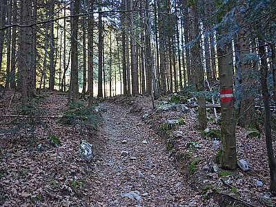 Vorschaubild 1:30