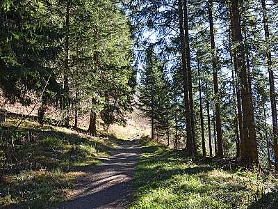 Vorschaubild 1:30