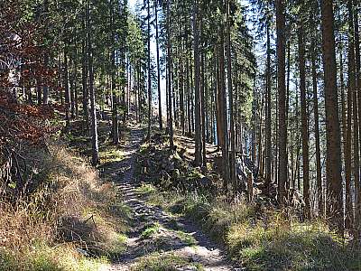 Vorschaubild 1:30
