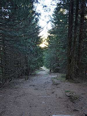 Vorschaubild 1:30