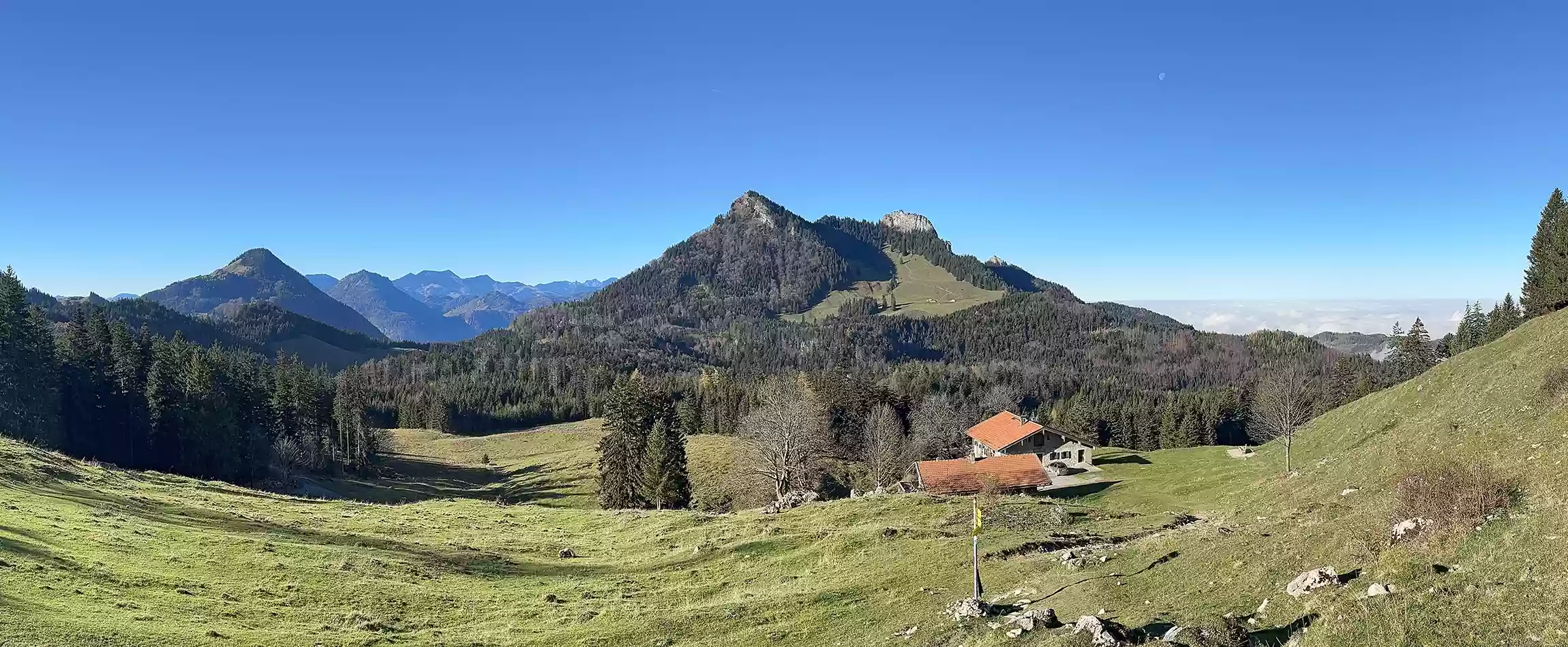 Feichteck