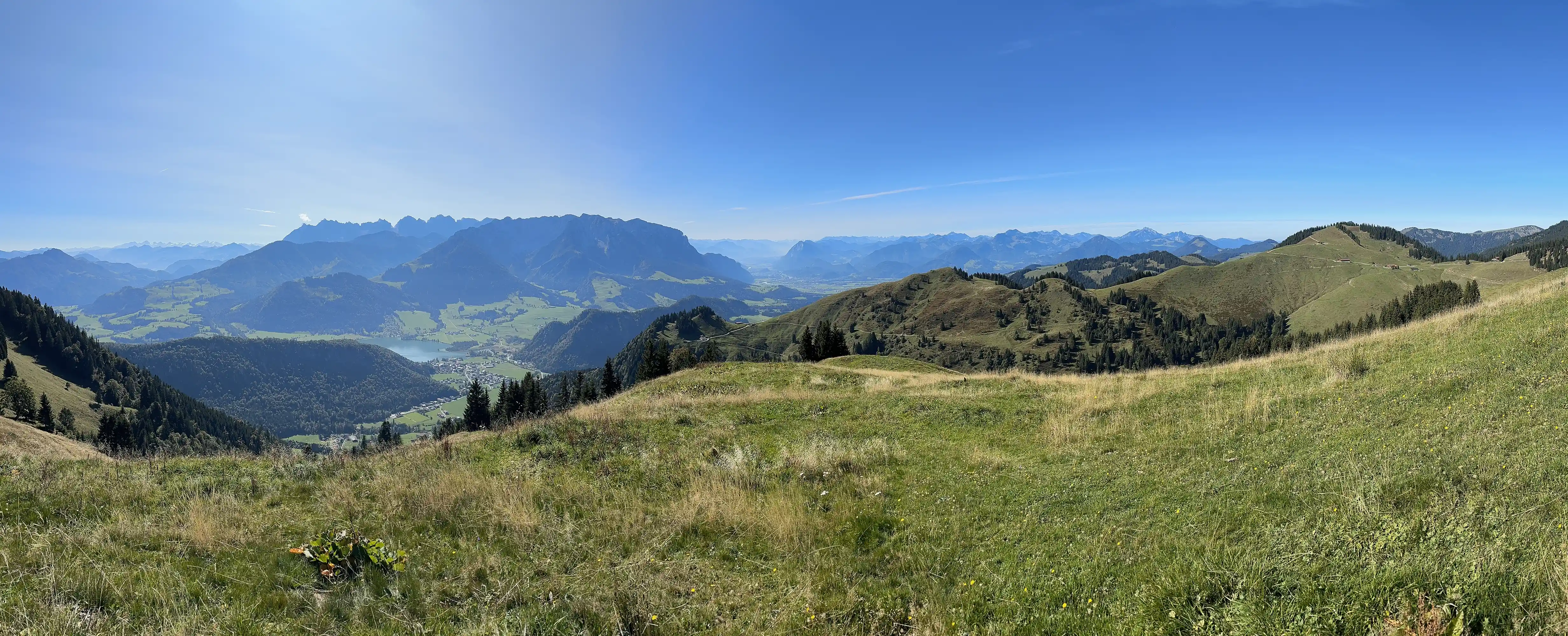 Lochner Horn
