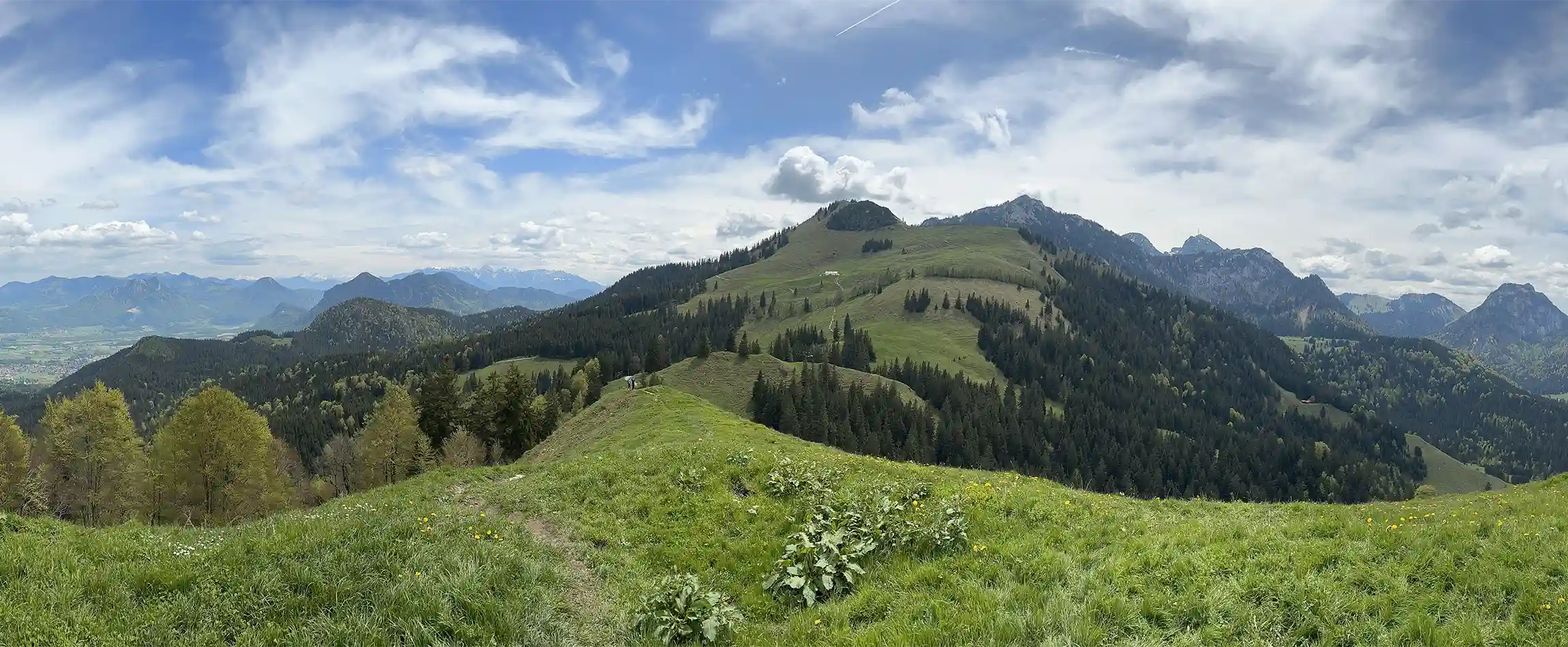 Rampoldplatte