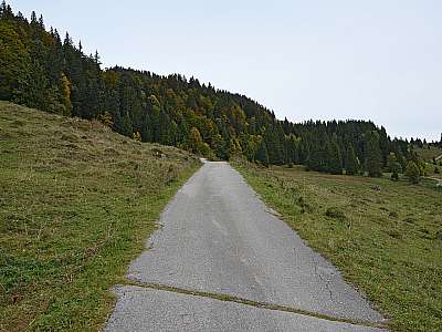 Vorschaubild 1:45