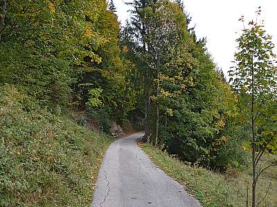 Vorschaubild 1:45
