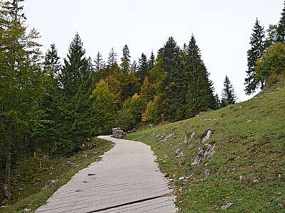 Vorschaubild 1:45