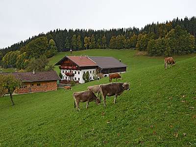 Vorschaubild 1:45