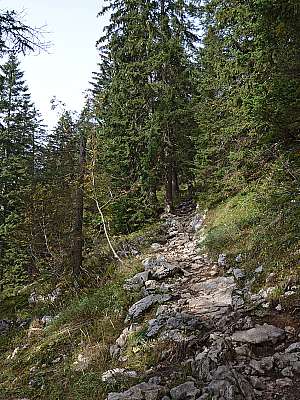Vorschaubild 1:45