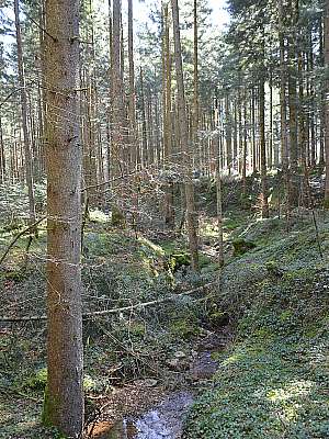 Vorschaubild 1:15