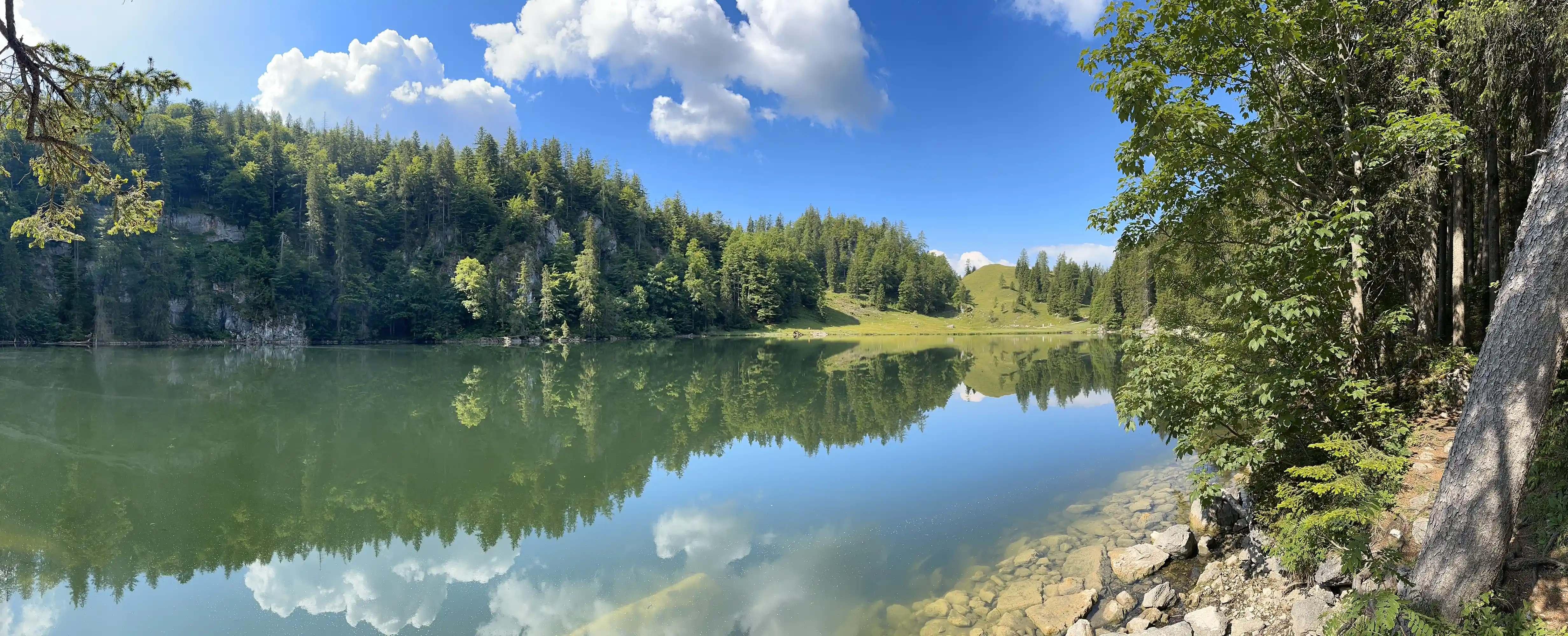 Taubensee
