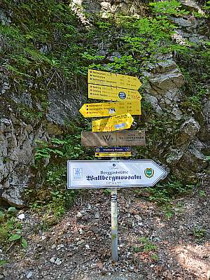 Vorschaubild 11