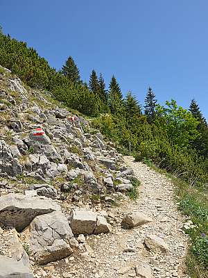 Vorschaubild 78