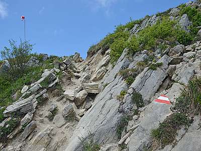 Vorschaubild 86
