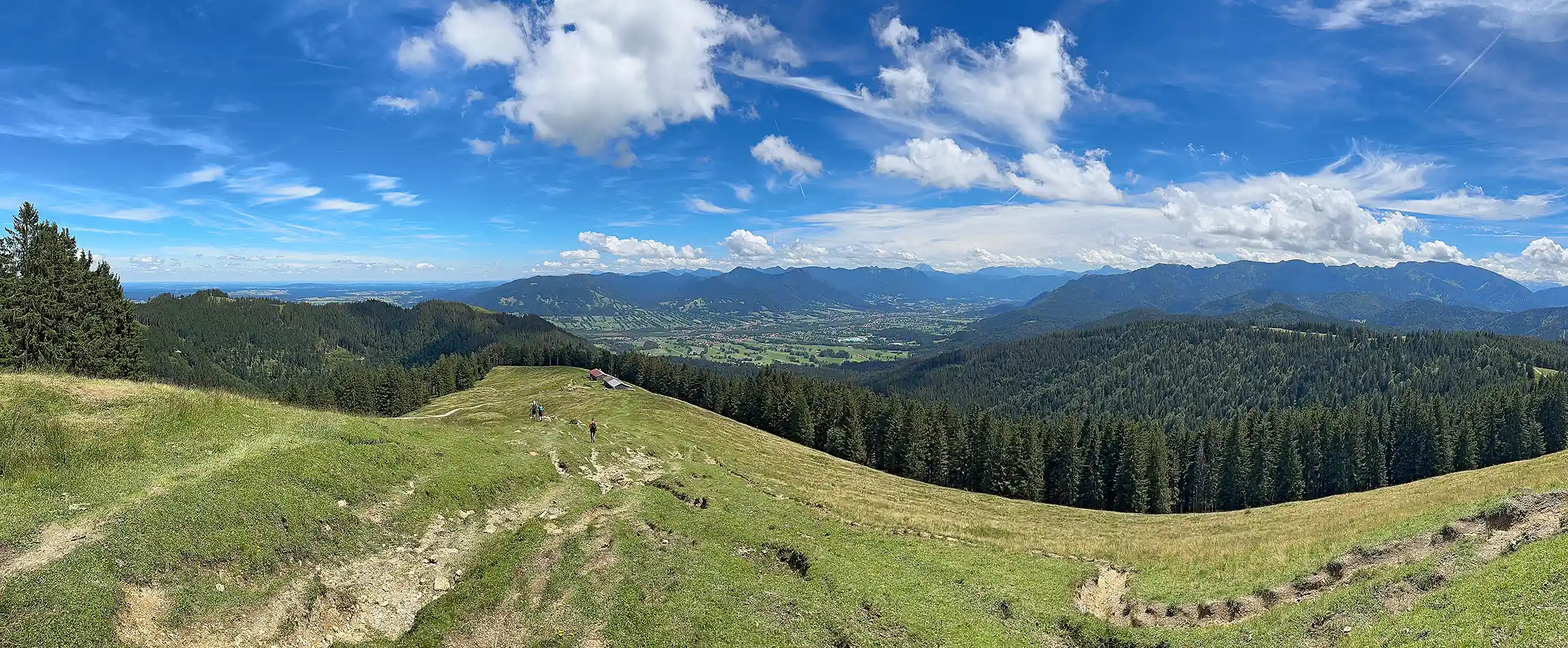 Zwieselberg