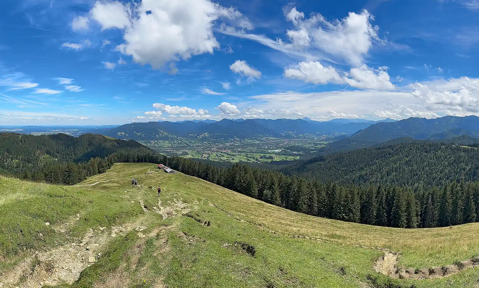 Zwieselberg (1348 m) von der Waldherralm