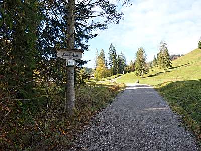 Vorschaubild 1:30