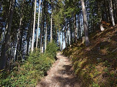 Vorschaubild 1:30