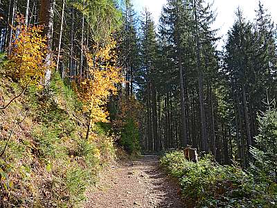 Vorschaubild 1:30