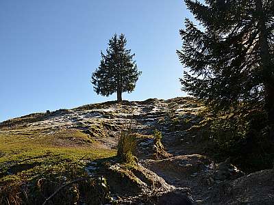Vorschaubild 1:30