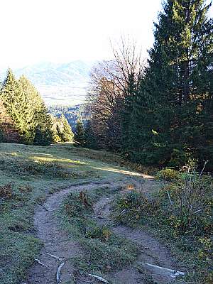 Vorschaubild 1:30